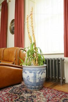 Čínský ručně malovaný květináč - aquarium Čínský ručně malovaný květináč - aquarium